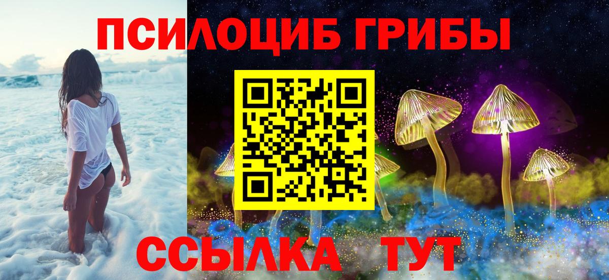 Гай  Галлюциногенные грибы Psilocybe  наркота  Вход с VPN 