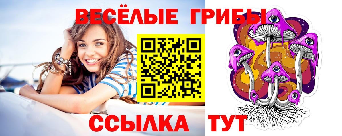 Псилоцибиновые грибы Magic Shrooms Гай